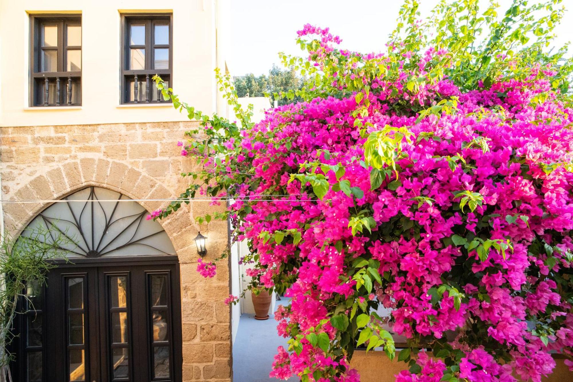 The Old Town House Leilighet *